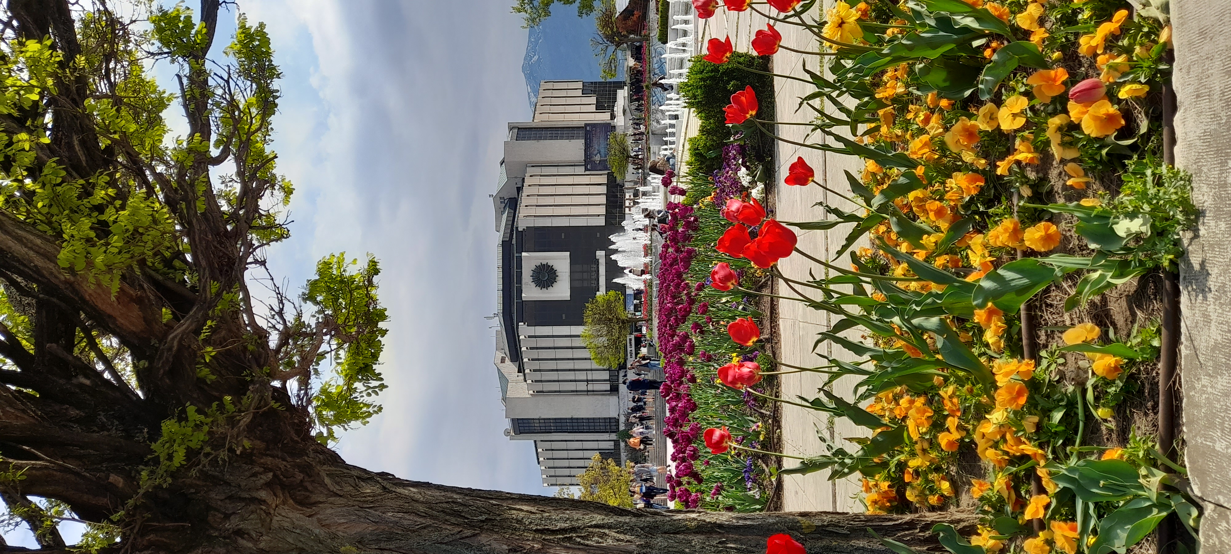 Tourism 5